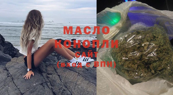 гидра Абаза