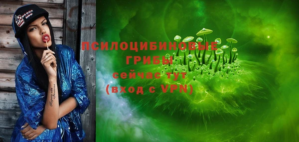 хмурый Абинск