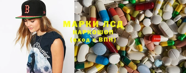 гидра Абаза