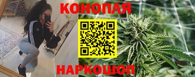хмурый Новозыбков