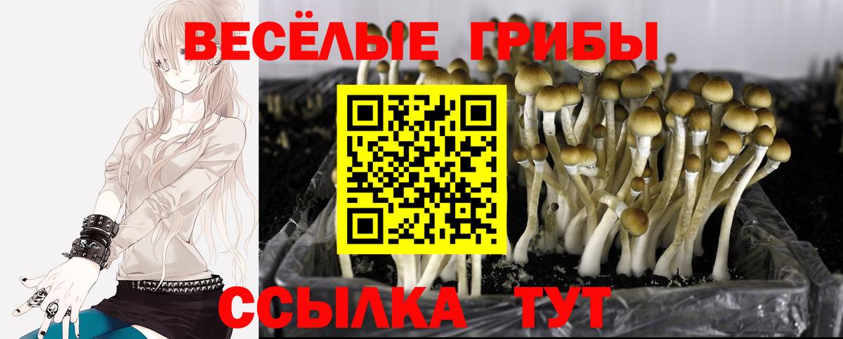 Псилоцибиновые грибы Magic Shrooms  Псилоцибиновые грибы Psilocybe  Вход с VPN  Аксай 